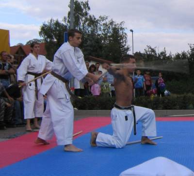 Was ist Karate beim Karateverein Obrigheim